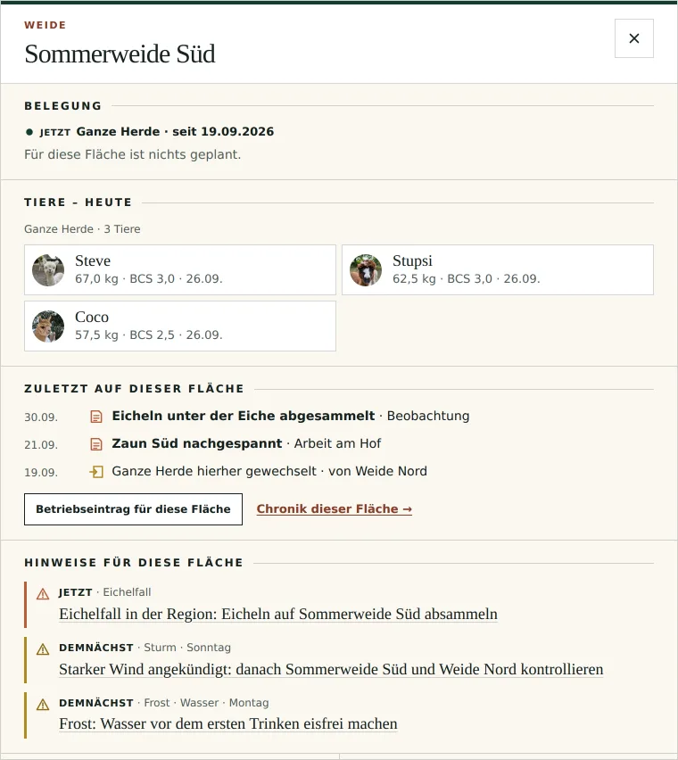 Flächendetail der Sommerweide Süd: Belegung, die drei Alpakas mit Gewicht und BCS, zuletzt auf dieser Fläche, Hinweise für Eichelfall, Sturm und Frost.