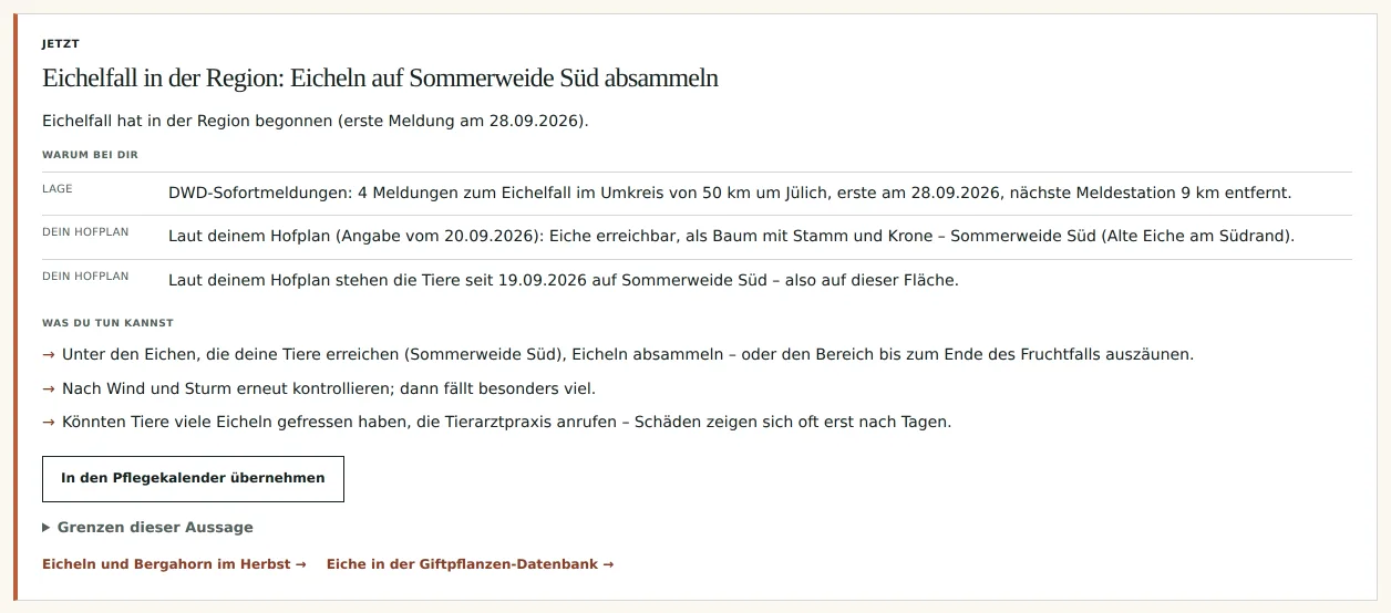 Ein Hinweis im Detail: Eichelfall in der Region, Gründe aus Lage und Hofplan, drei Handlungsschritte, Grenzen der Aussage und Links zur Giftpflanzen-Datenbank.